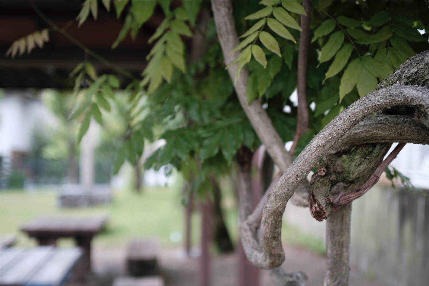 f:id:pepepetoki:20200531220017j:image f:id:pepepetoki:20200531220017j:image