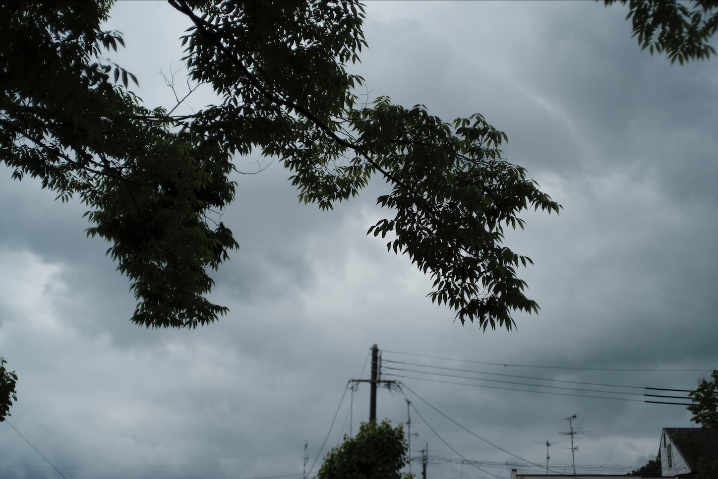 f:id:pepepetoki:20200531220333j:image f:id:pepepetoki:20200531220333j:image