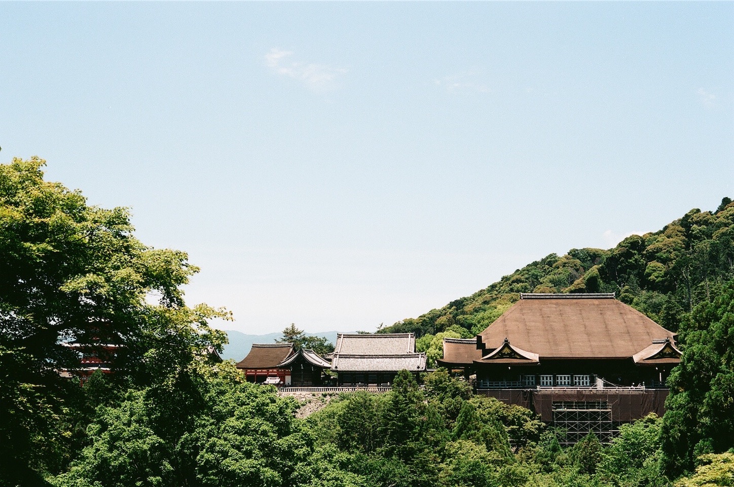 f:id:pepepetoki:20200603230747j:image