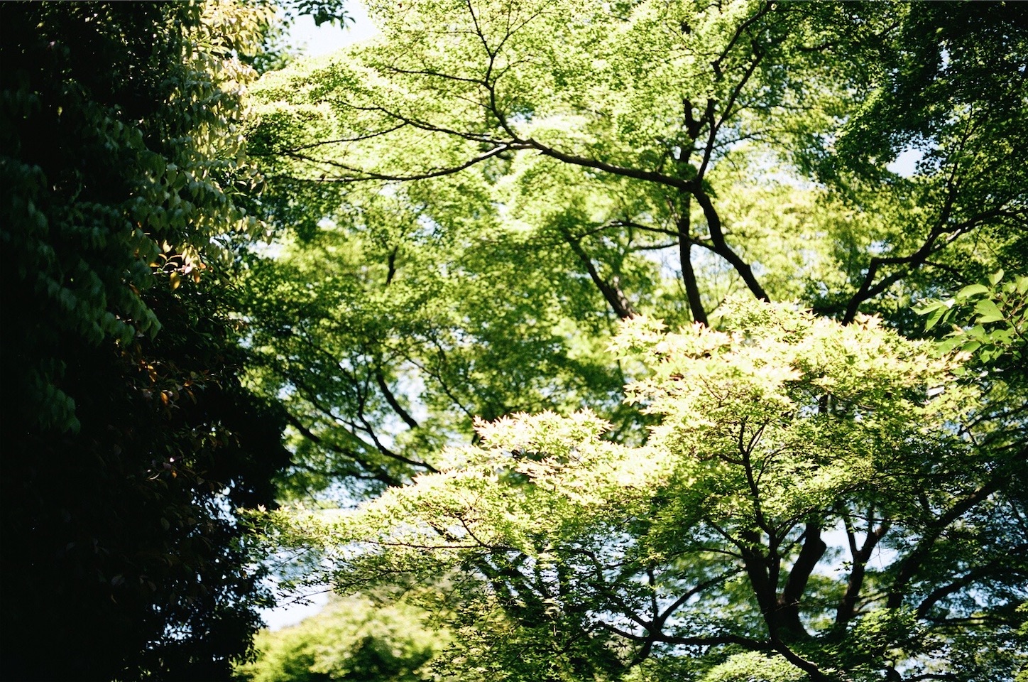 f:id:pepepetoki:20200603230751j:image