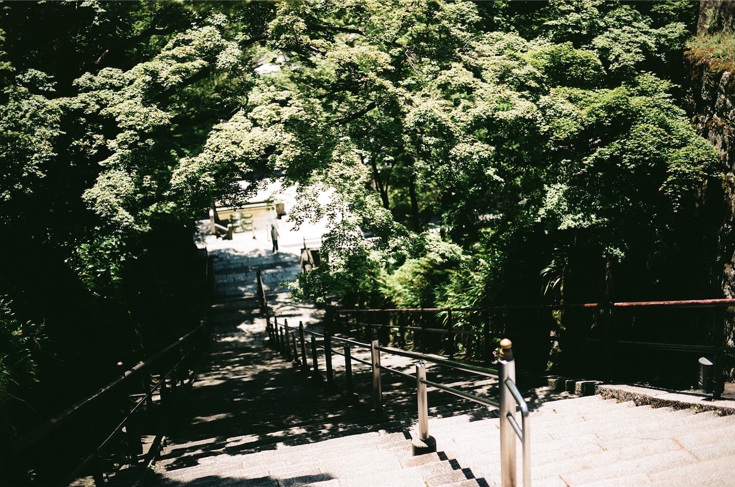 f:id:pepepetoki:20200603230828j:image