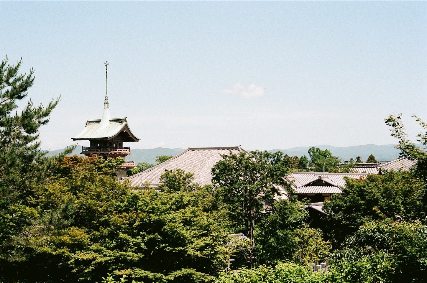 f:id:pepepetoki:20200603230836j:image