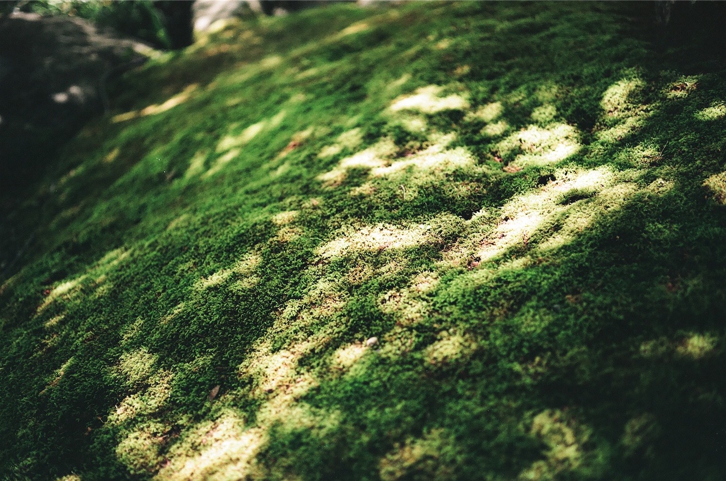 f:id:pepepetoki:20200603230903j:image