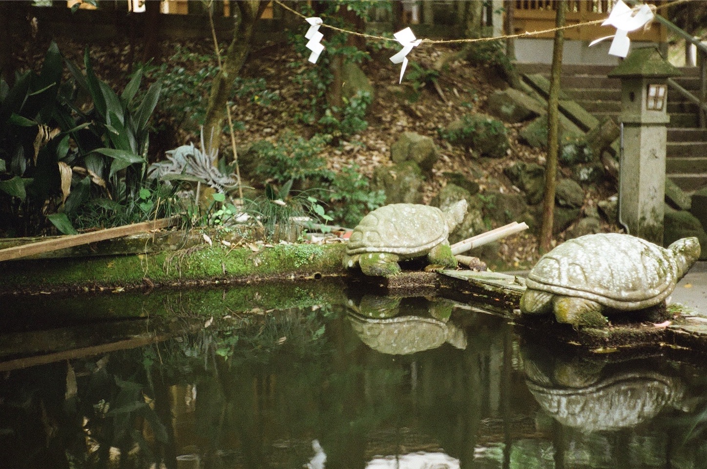 f:id:pepepetoki:20200603234344j:image