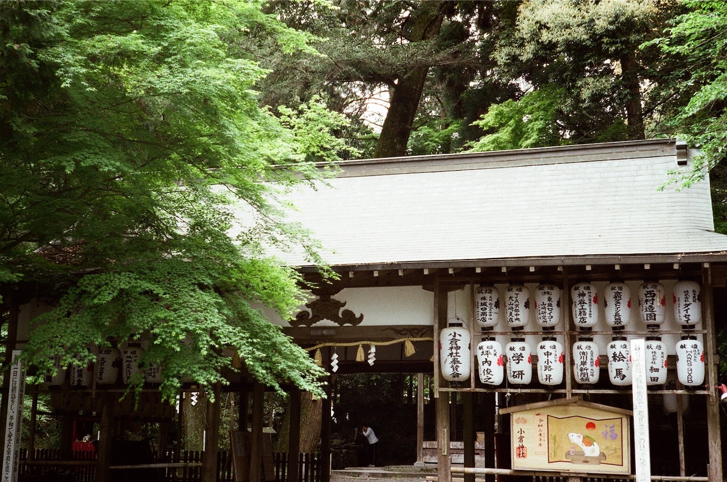 f:id:pepepetoki:20200603234348j:image