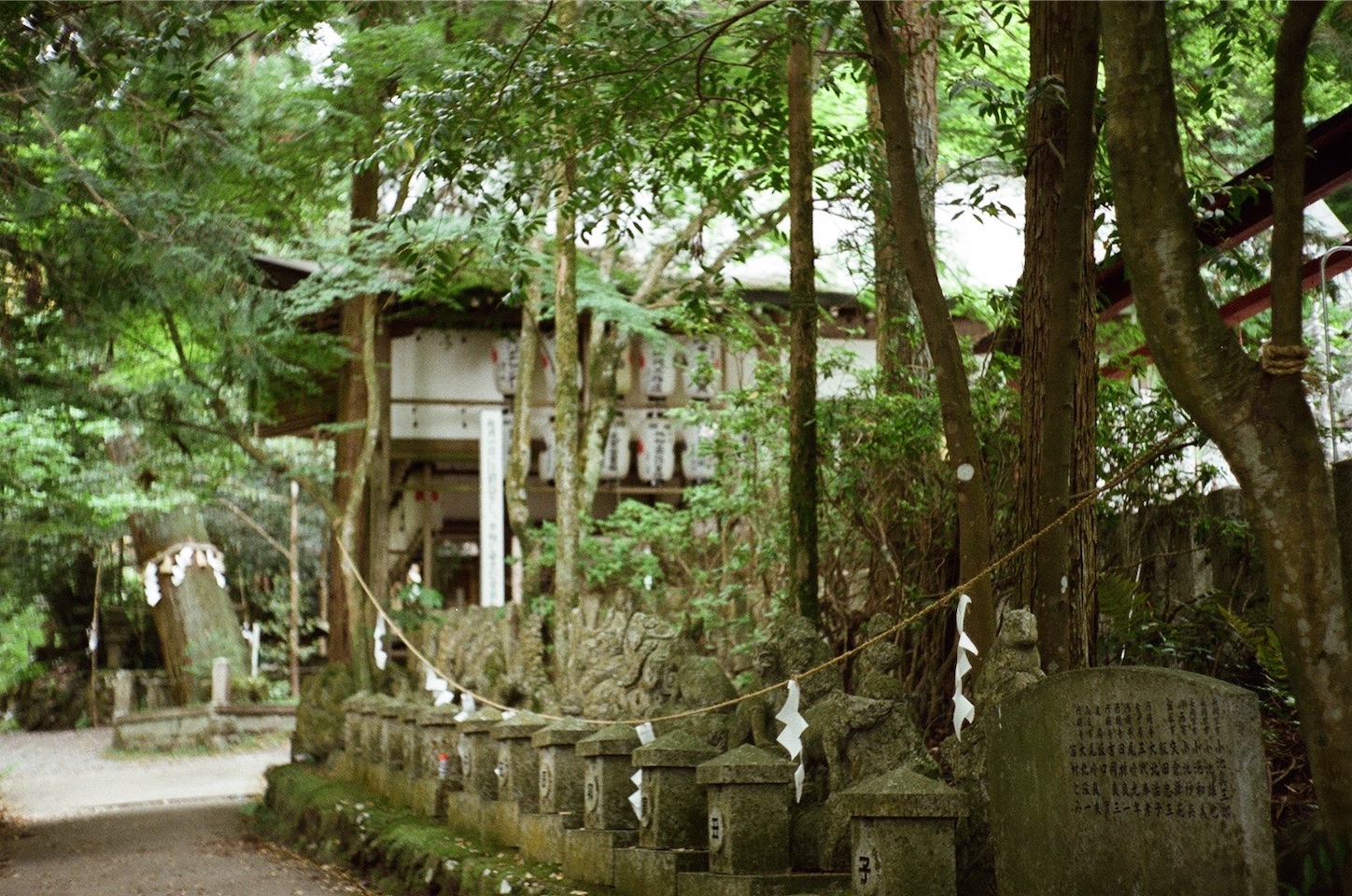 f:id:pepepetoki:20200603234356j:image