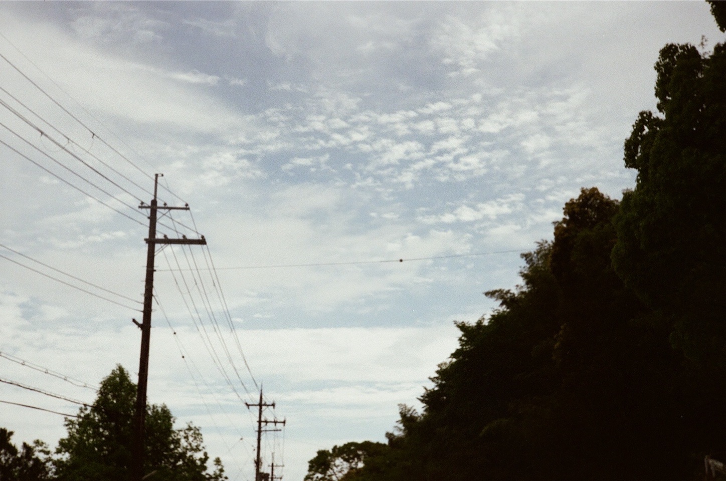 f:id:pepepetoki:20200603234400j:image