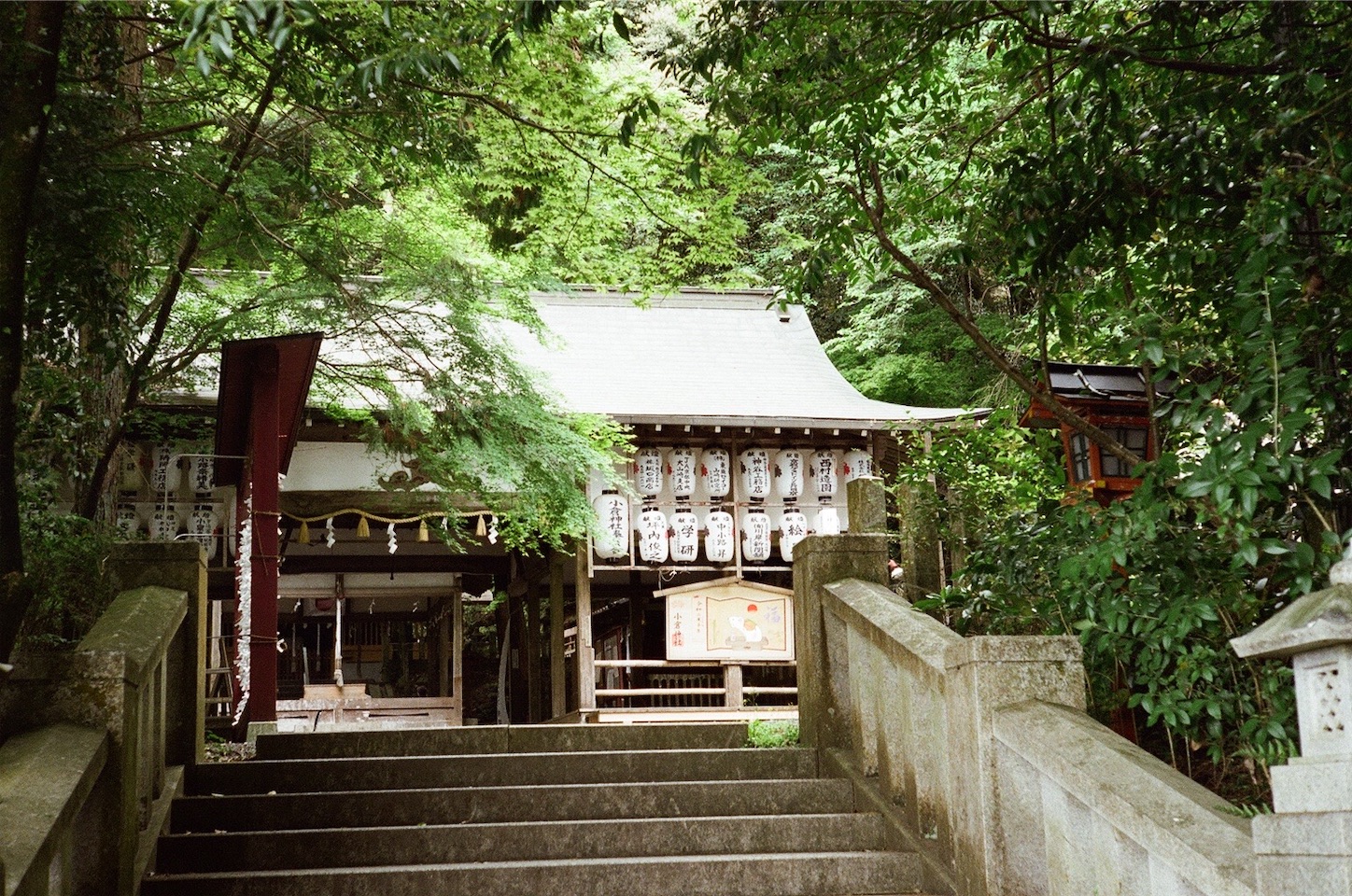 f:id:pepepetoki:20200603234407j:image