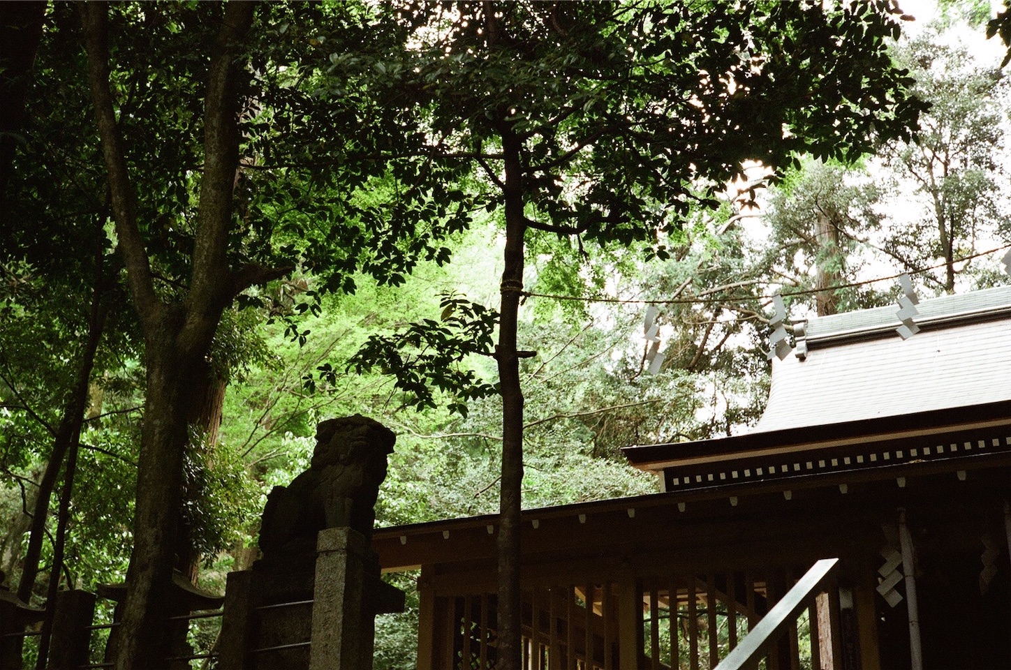 f:id:pepepetoki:20200603234432j:image