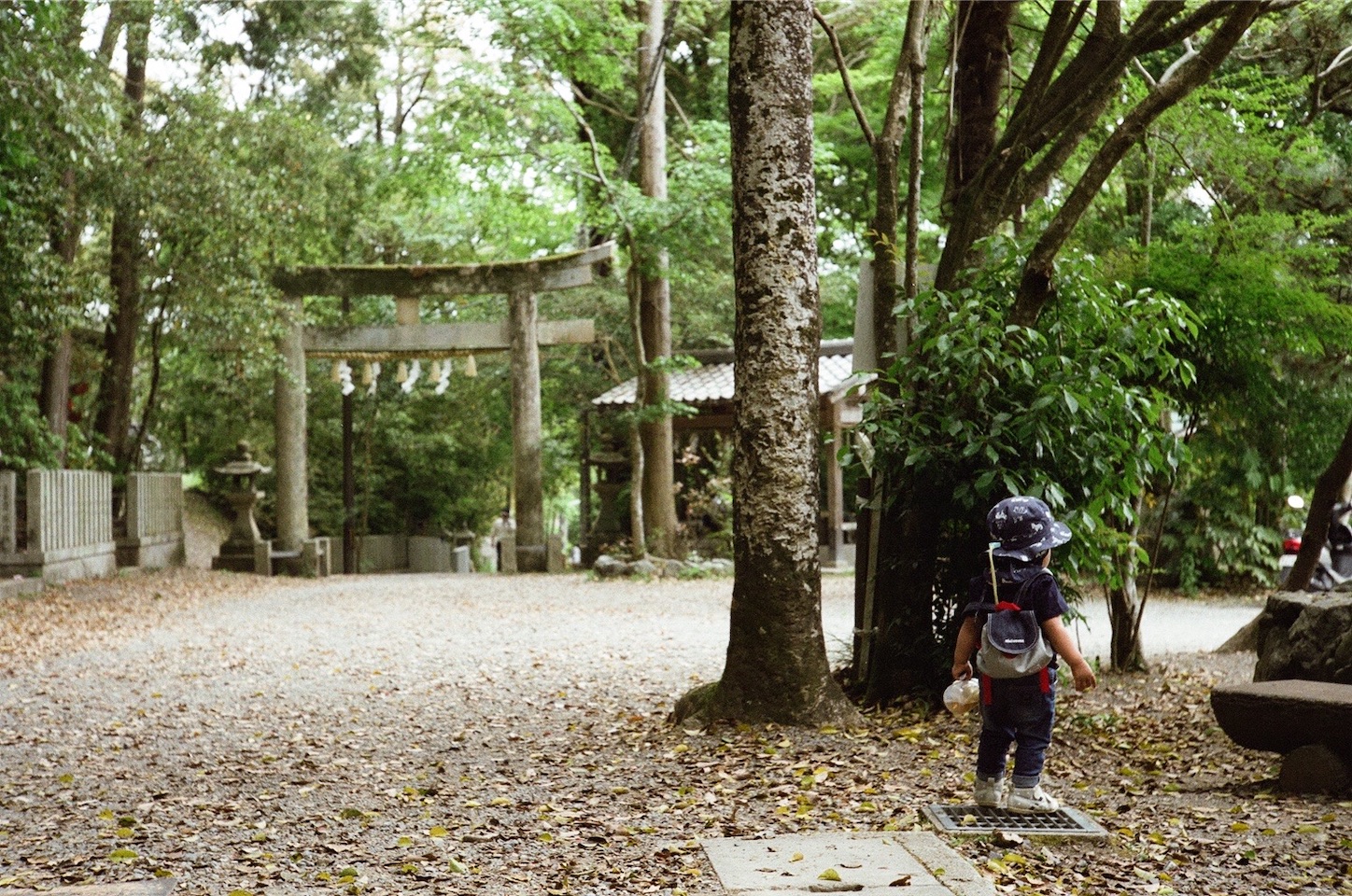 f:id:pepepetoki:20200603234437j:image