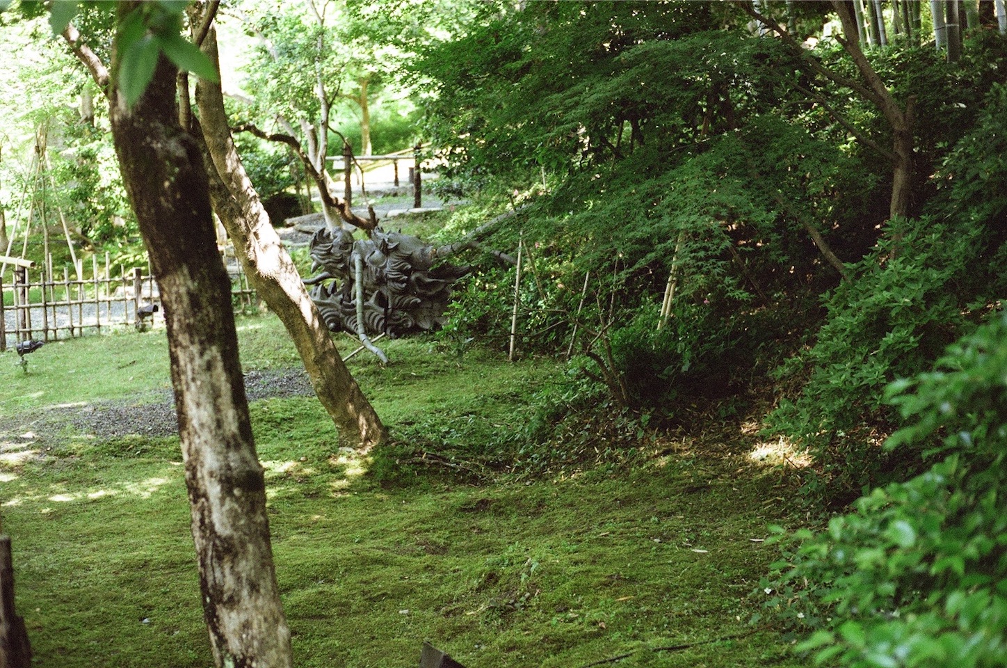 f:id:pepepetoki:20200603234912j:image