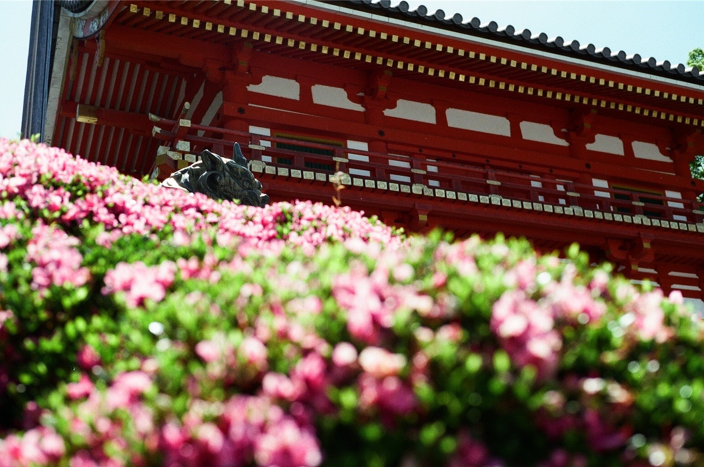 f:id:pepepetoki:20200603234928j:image