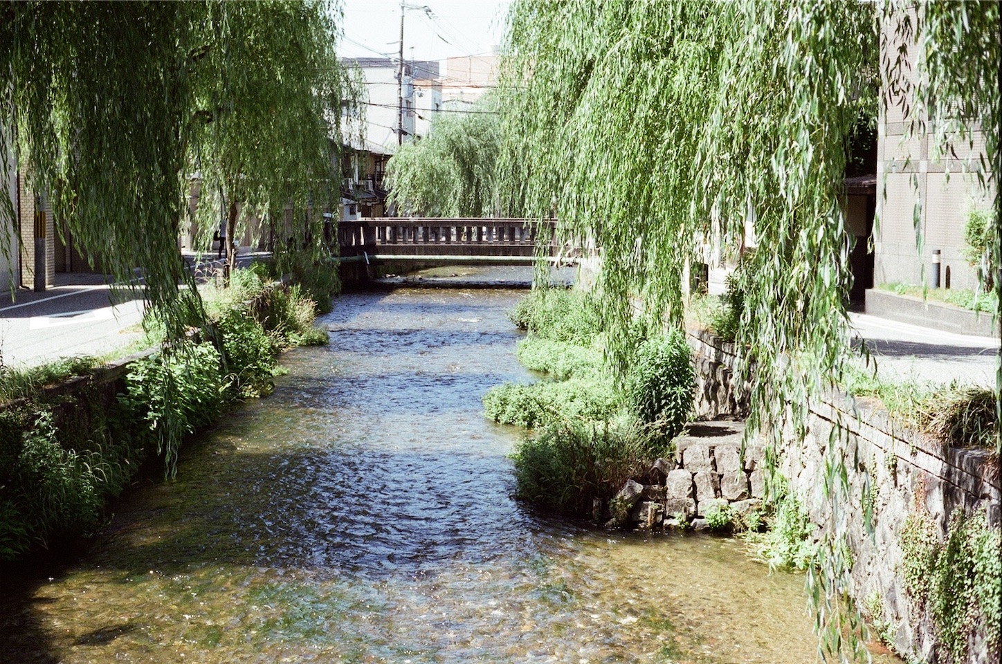 f:id:pepepetoki:20200603234940j:image