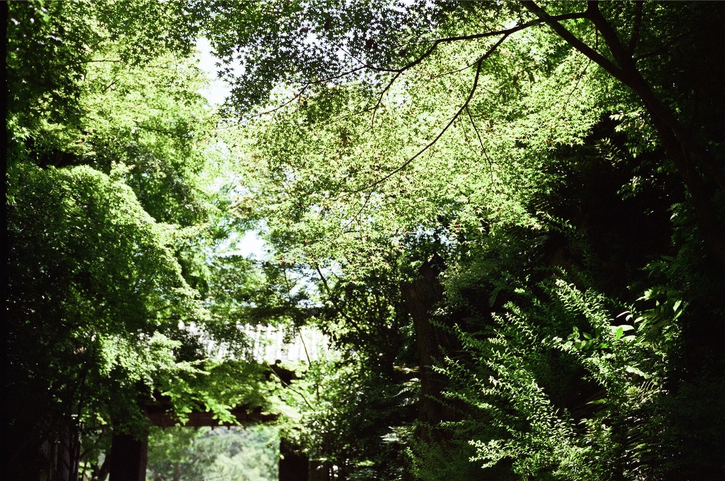 f:id:pepepetoki:20200603234944j:image