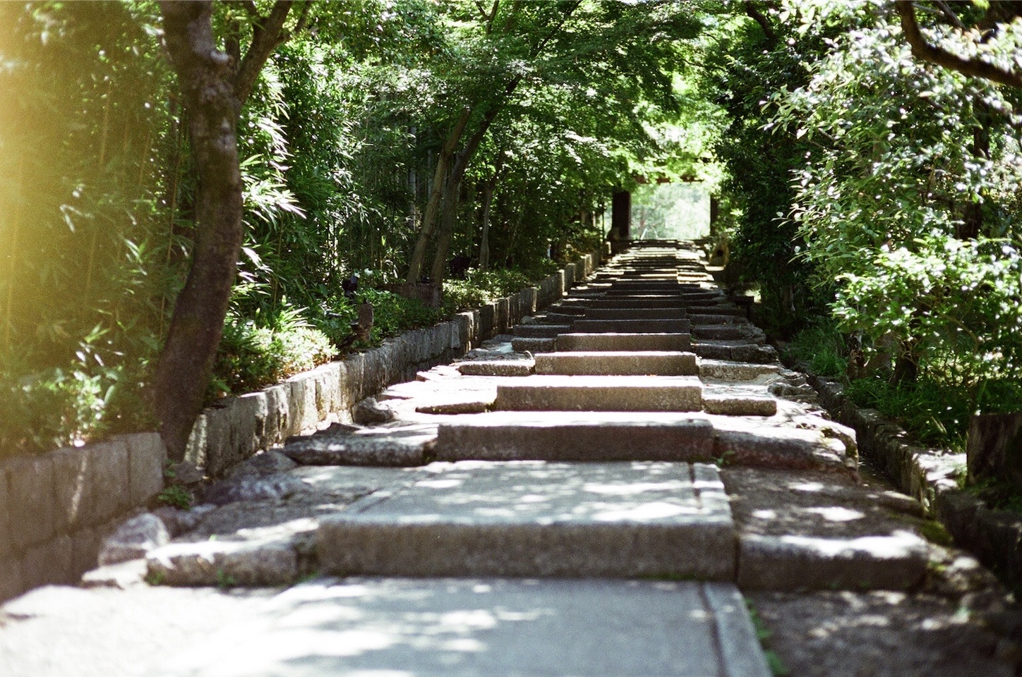 f:id:pepepetoki:20200603234947j:image
