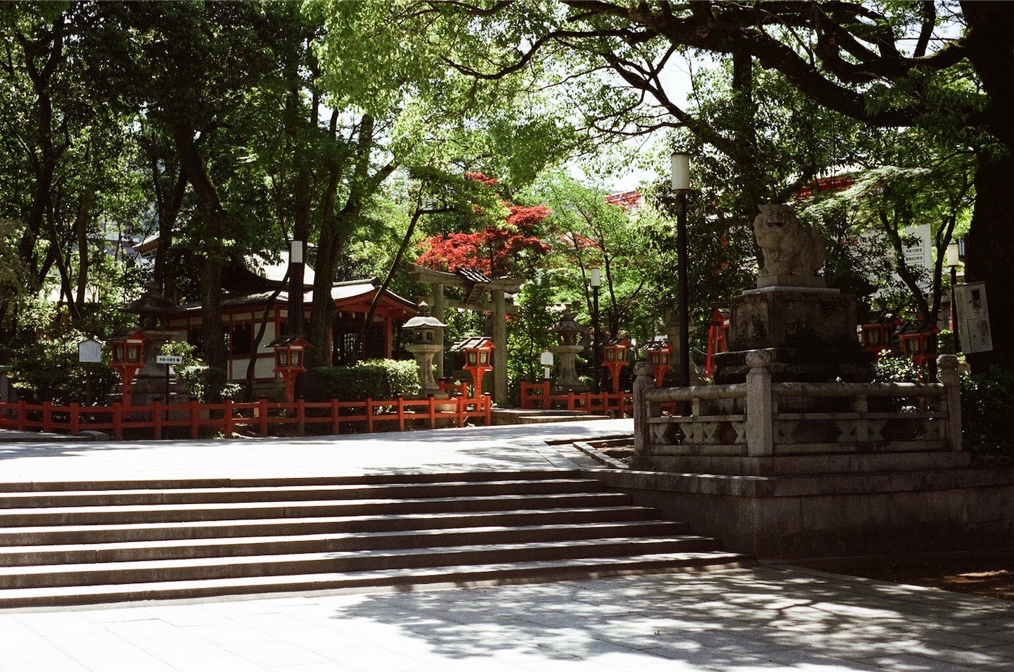 f:id:pepepetoki:20200603235000j:image