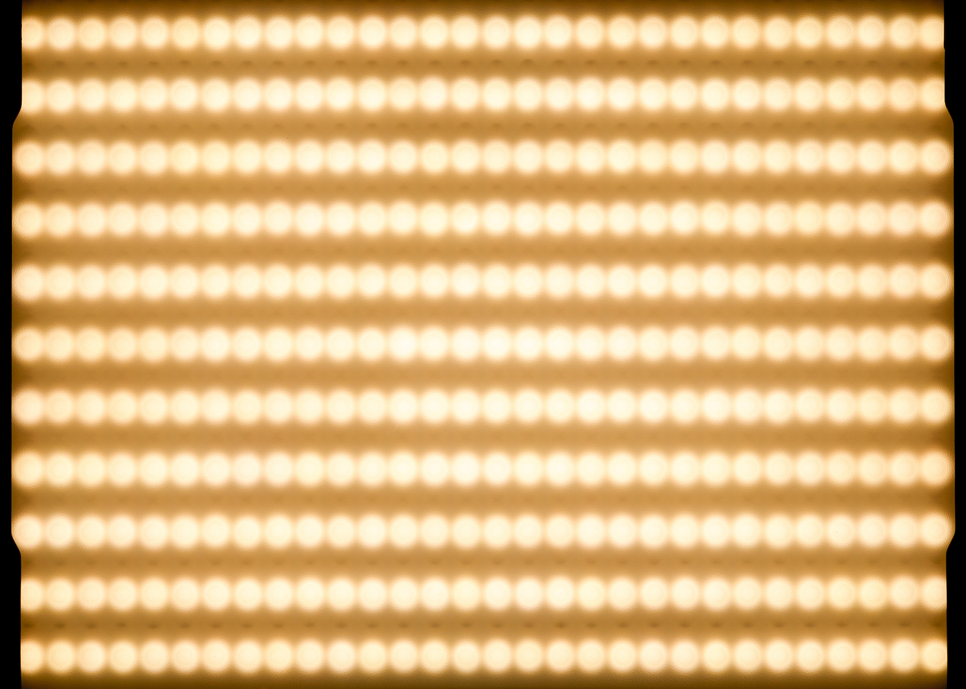 f:id:pepeprism:20200819001226j:plain f:id:pepeprism:20200819001226j:plain
