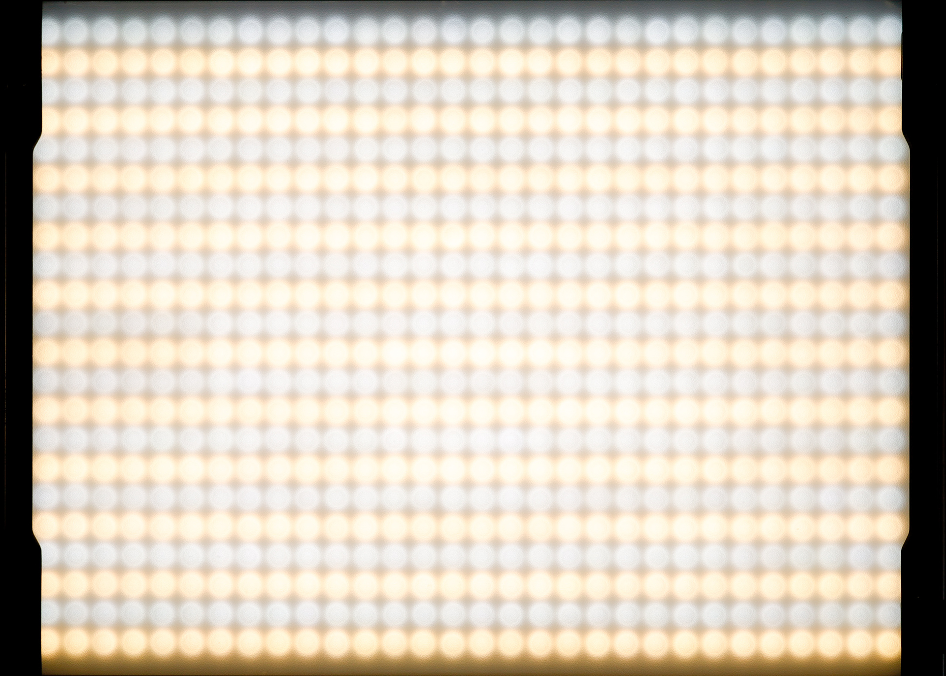 f:id:pepeprism:20200819001247j:plain f:id:pepeprism:20200819001247j:plain