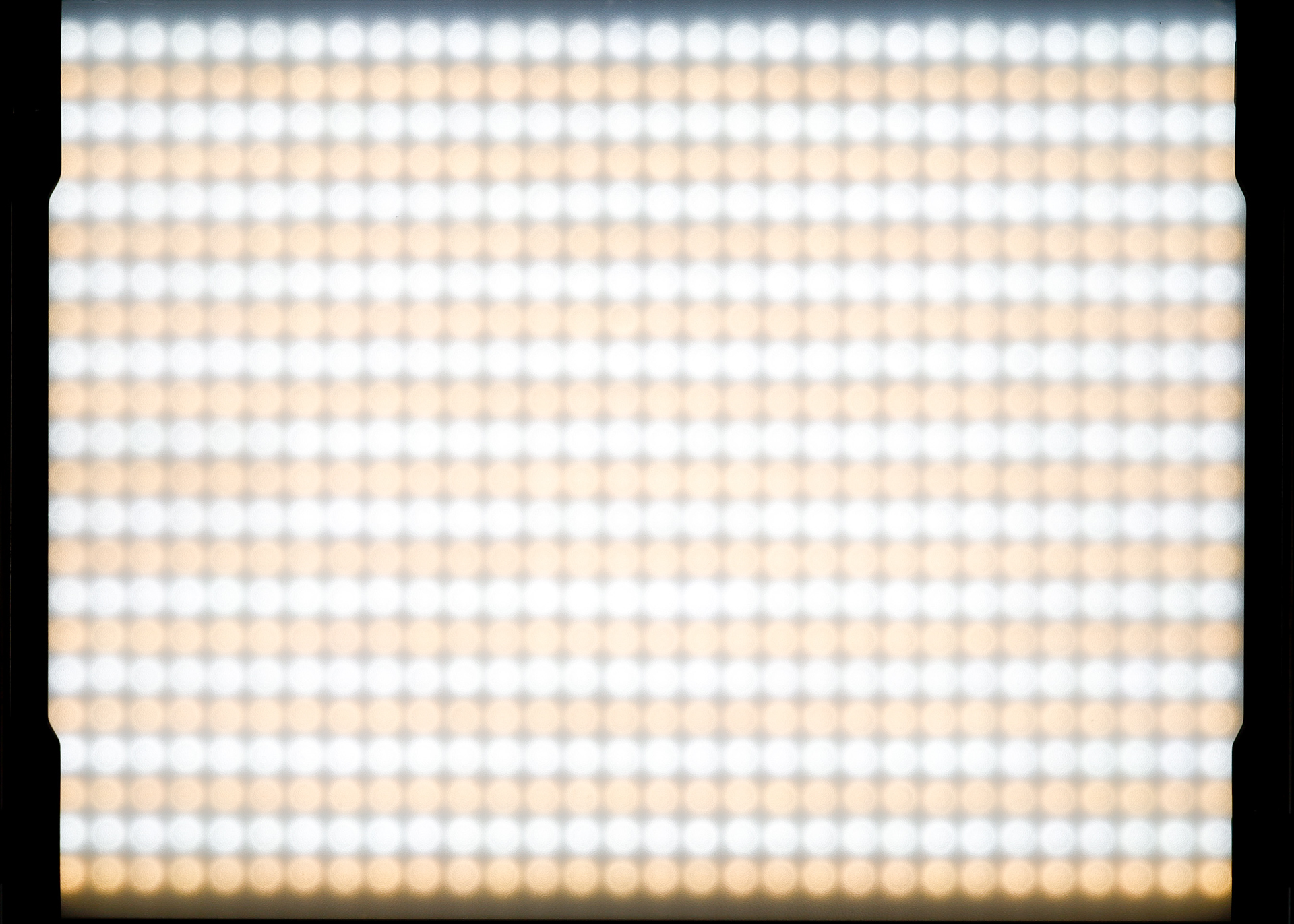 f:id:pepeprism:20200819001529j:plain f:id:pepeprism:20200819001529j:plain
