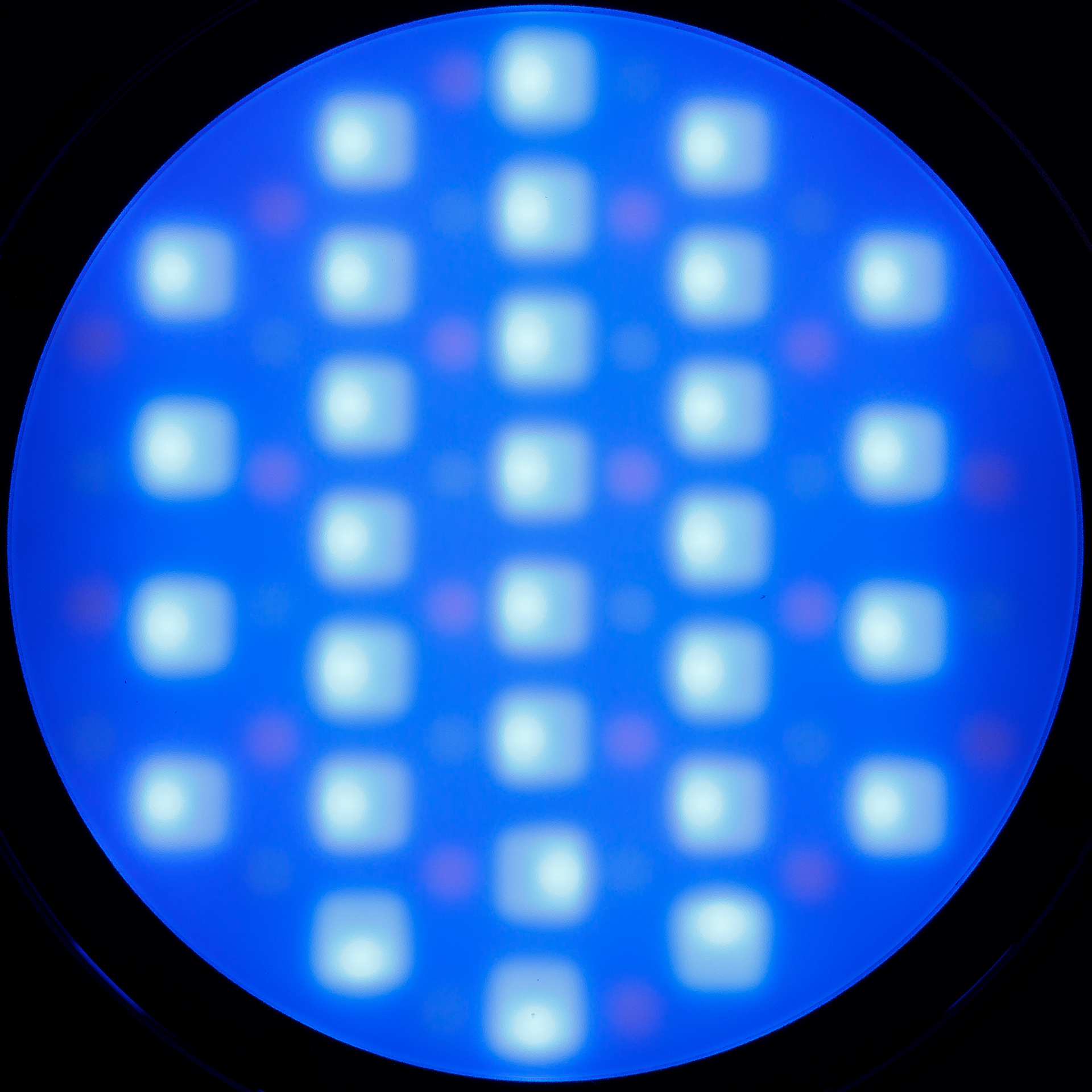 f:id:pepeprism:20201018204054j:plain f:id:pepeprism:20201018204054j:plain