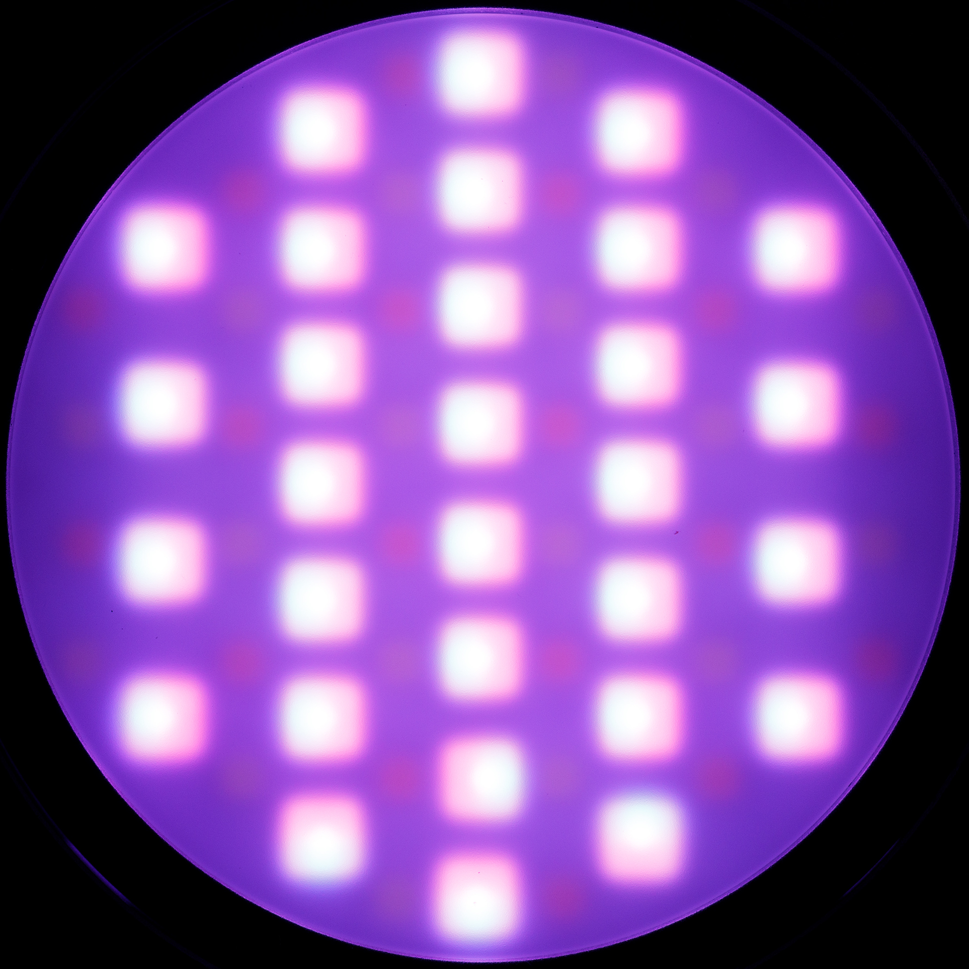 f:id:pepeprism:20201018204106j:plain f:id:pepeprism:20201018204106j:plain