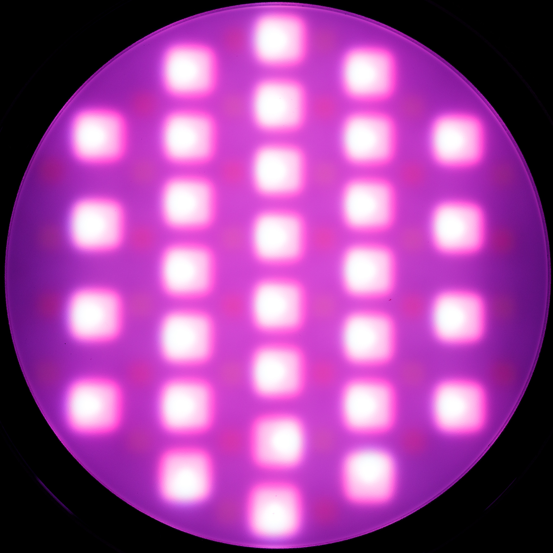 f:id:pepeprism:20201018204119j:plain f:id:pepeprism:20201018204119j:plain