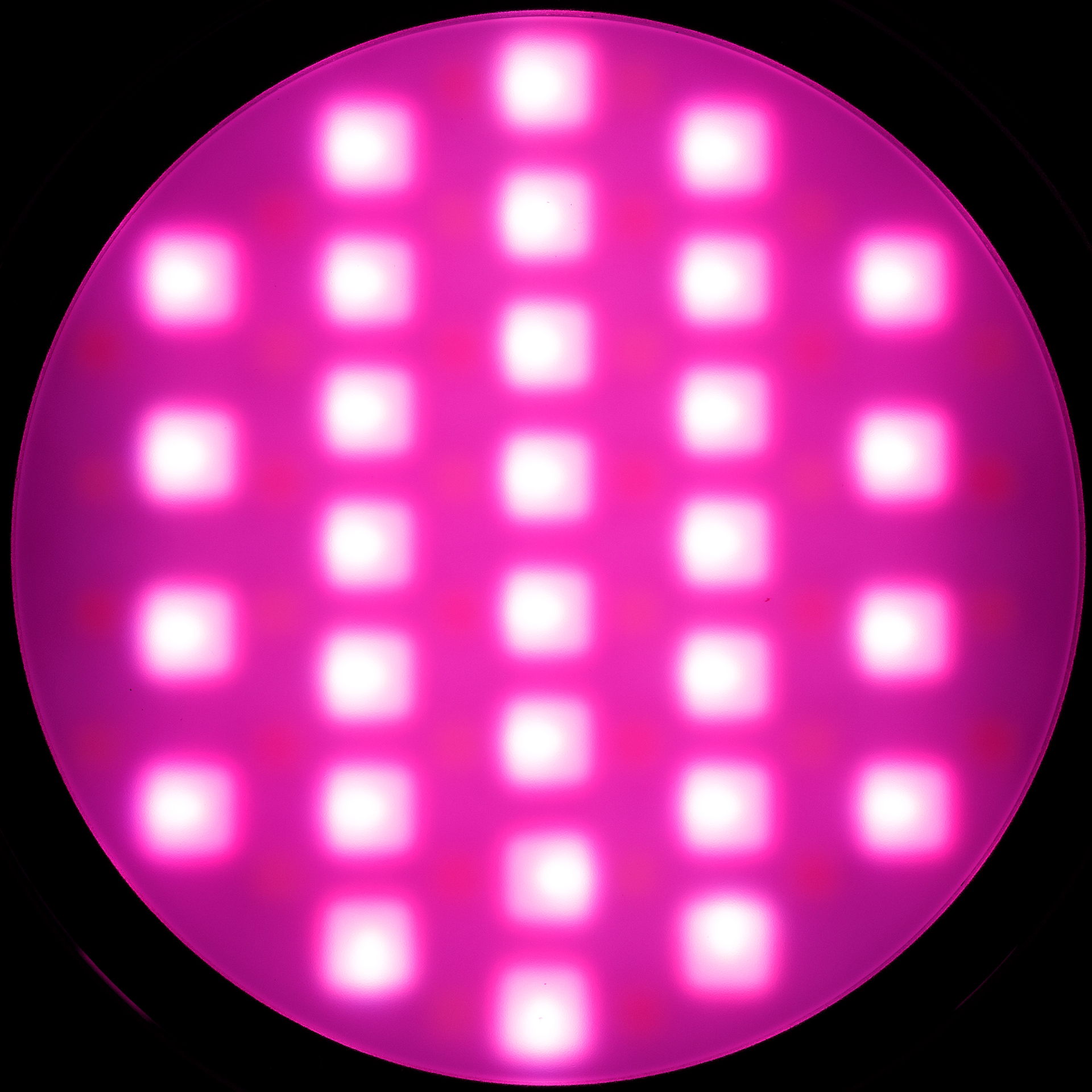 f:id:pepeprism:20201018204132j:plain f:id:pepeprism:20201018204132j:plain