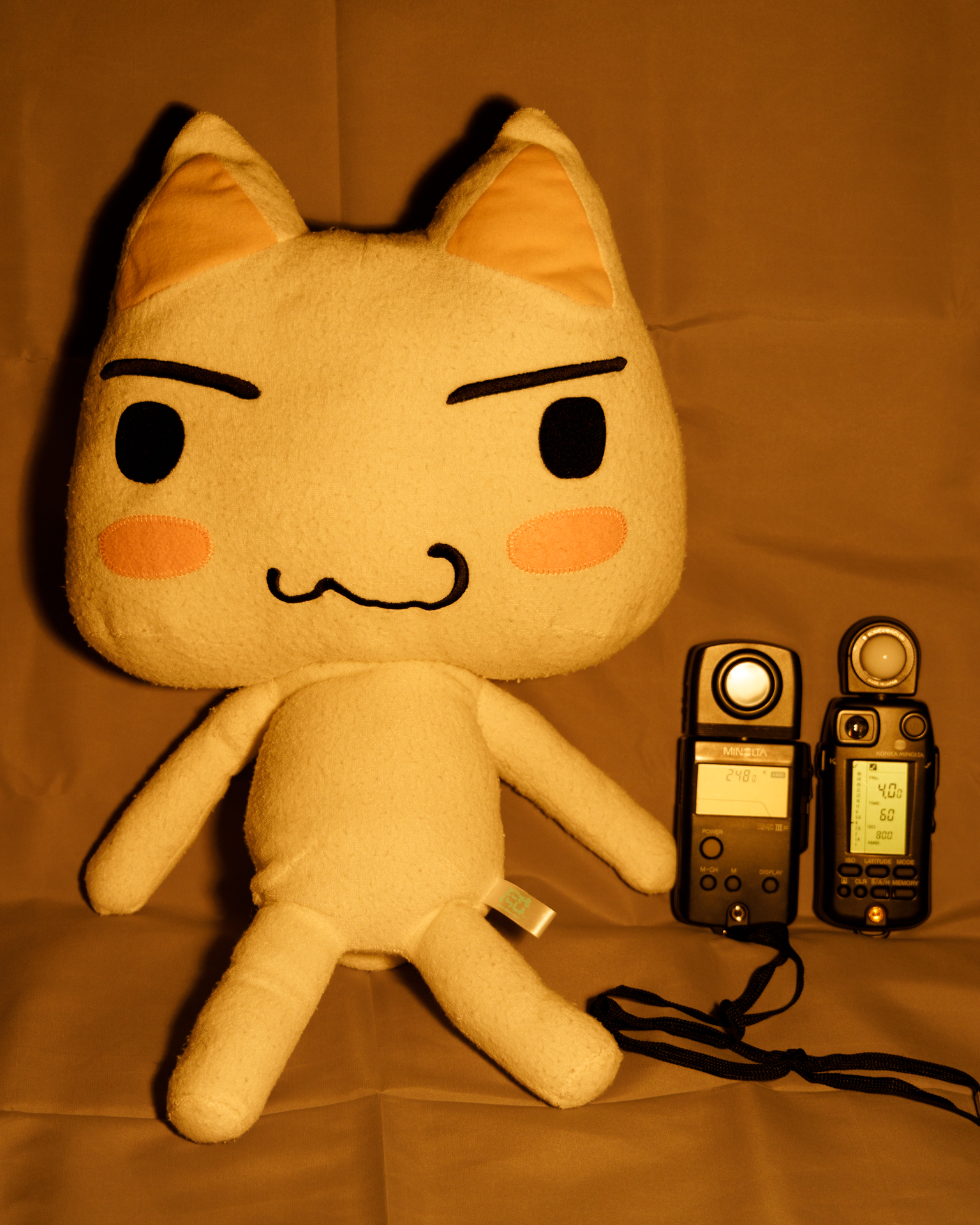 f:id:pepeprism:20201101220917j:plain f:id:pepeprism:20201101220917j:plain