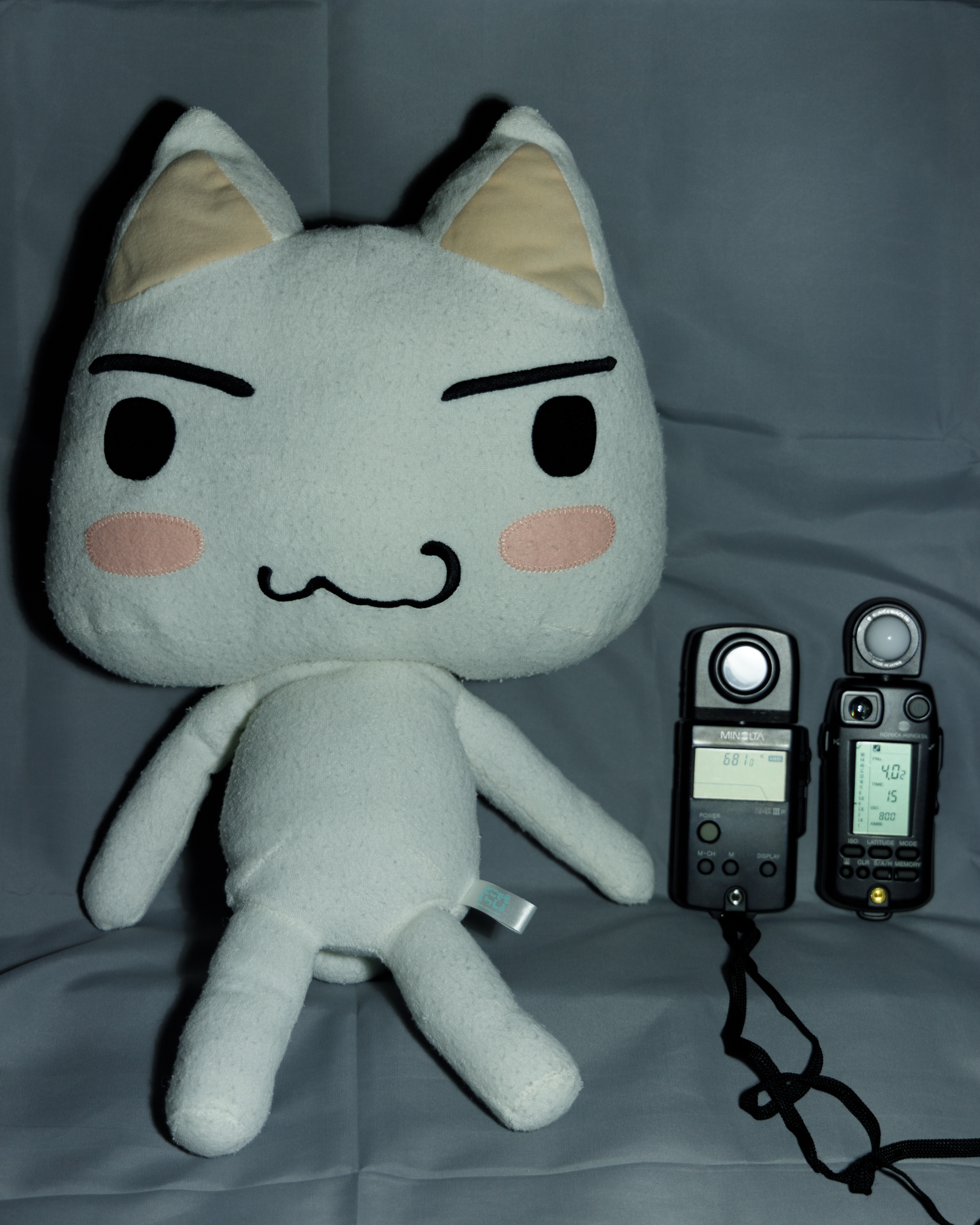 f:id:pepeprism:20201101221354j:plain f:id:pepeprism:20201101221354j:plain