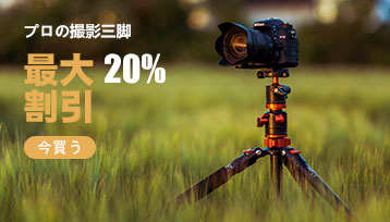 f:id:pepeprism:20201126123223p:plain