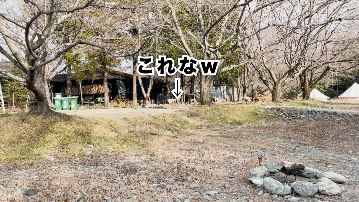 ヤギ(だいぶ遠目)