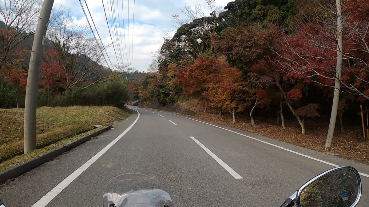 もみじロードの紅葉