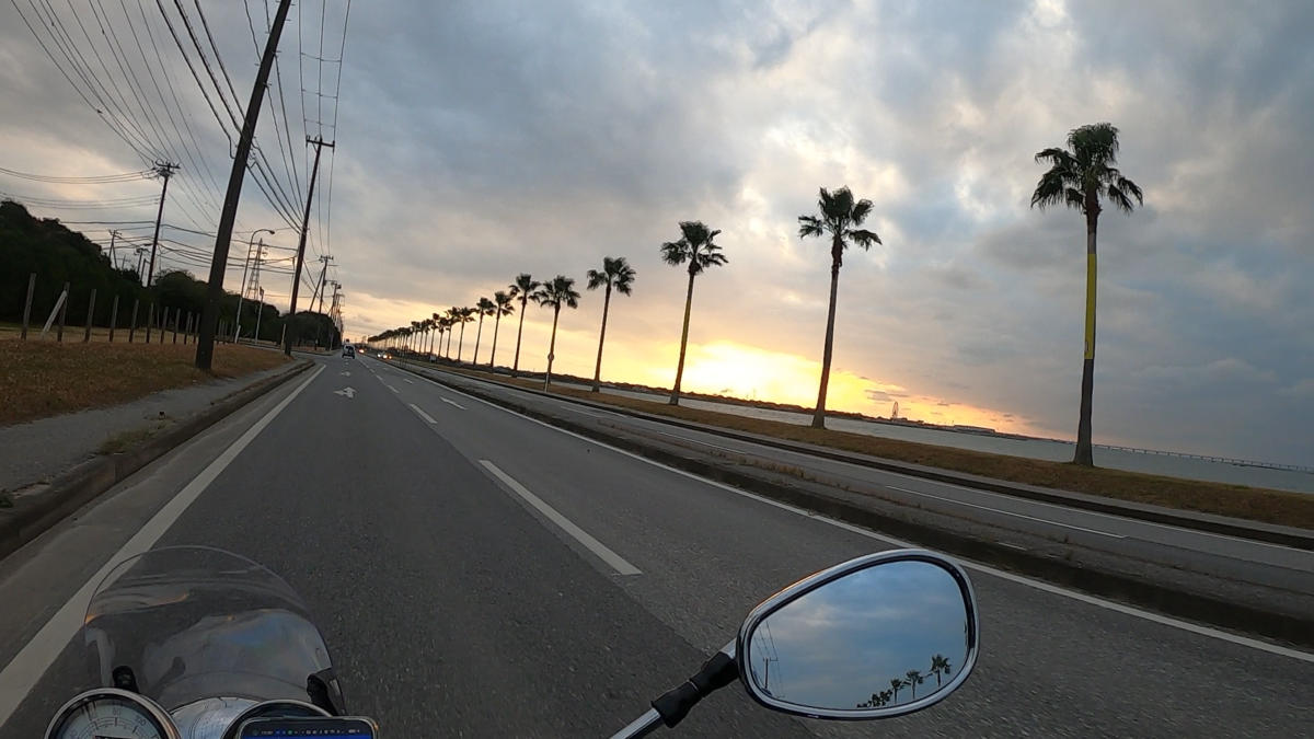 千葉フォルニアのヤシの木と夕焼け
