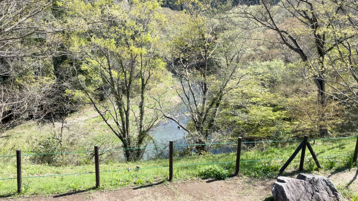 展望台から見下ろした嵐山渓谷のパノラマ写真