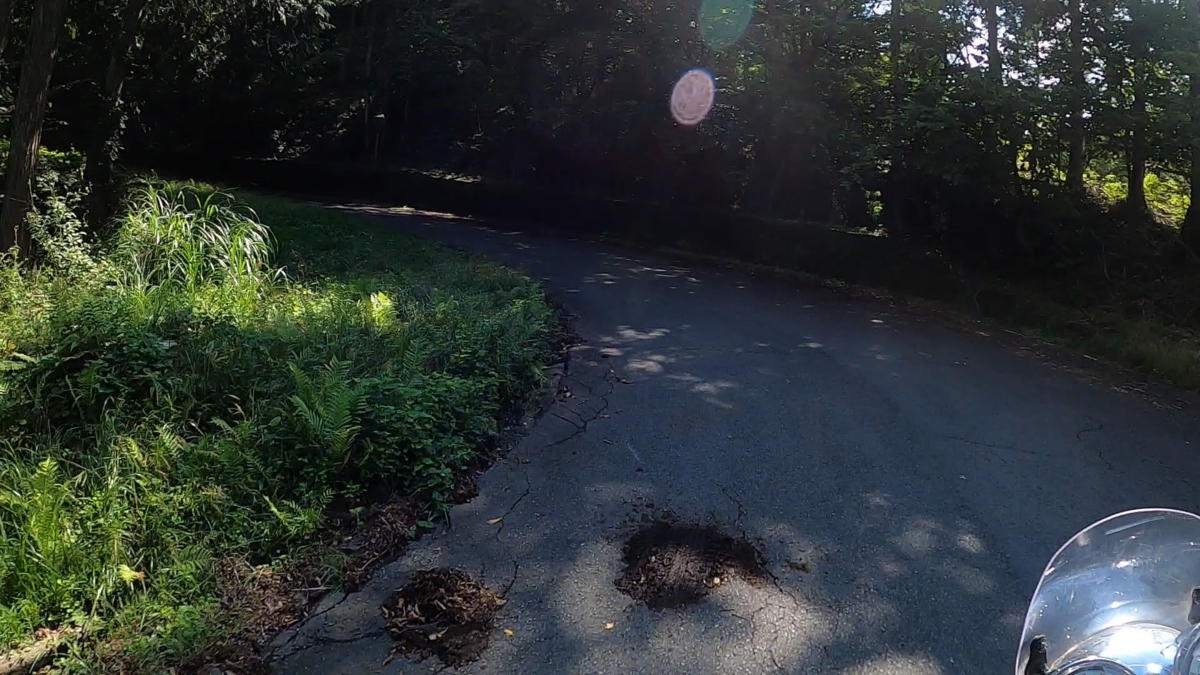 所々に穴の空いた険道