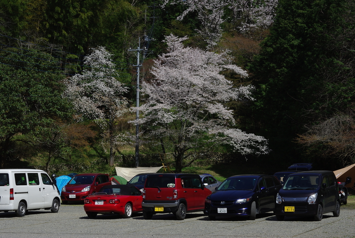 f:id:pepezoo:20190407223836j:plain
