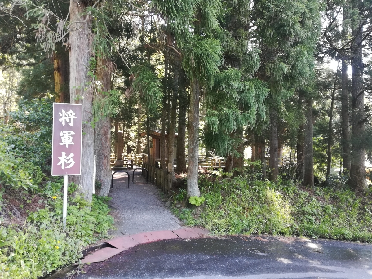 f:id:pepezoo:20190512182916j:plain