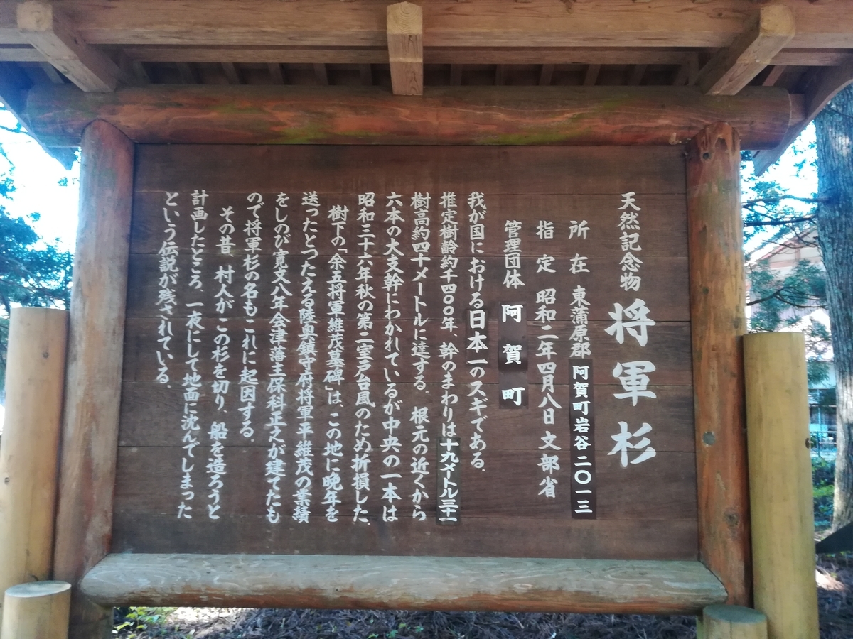 f:id:pepezoo:20190512183015j:plain