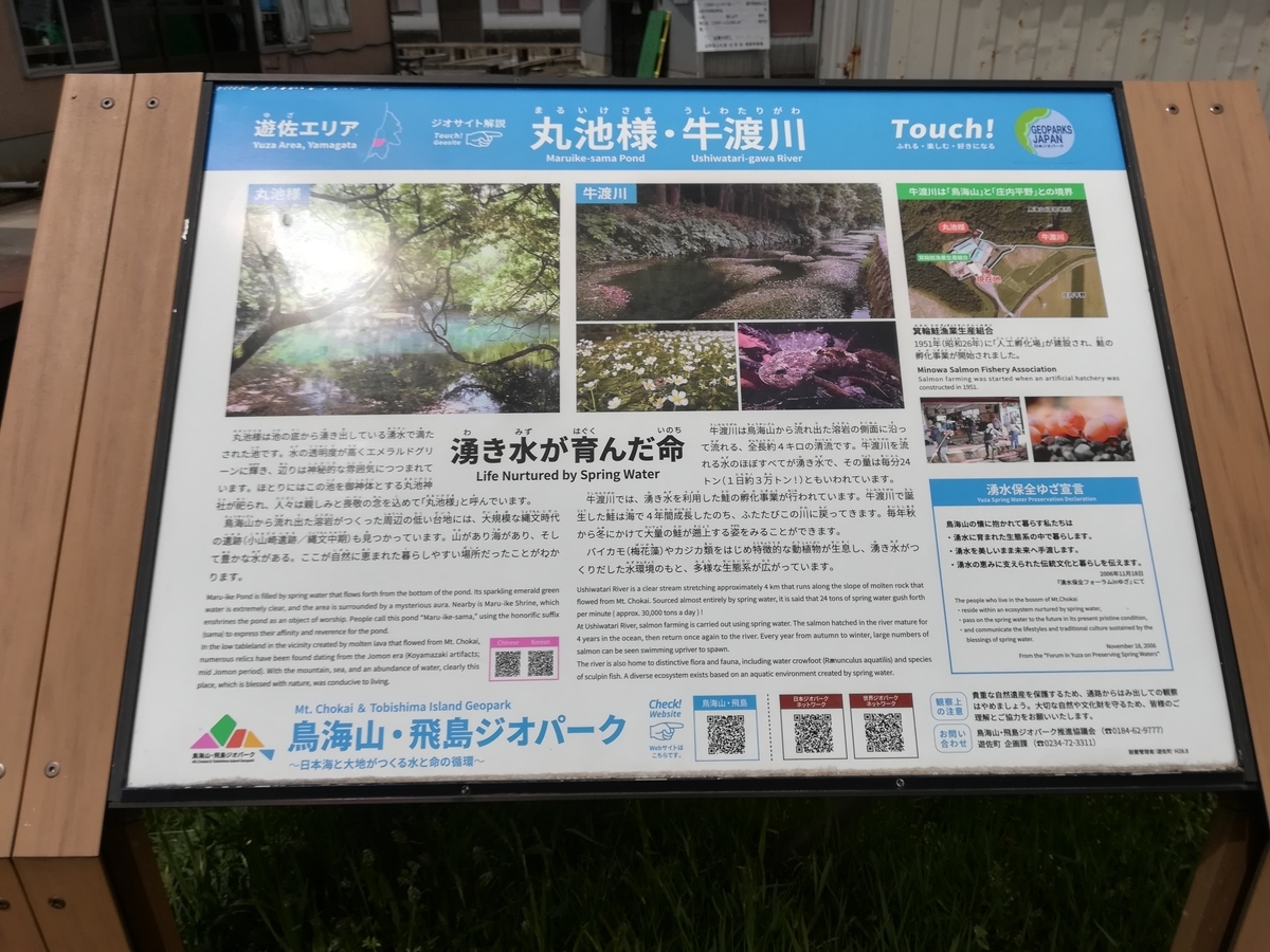 f:id:pepezoo:20190512183100j:plain