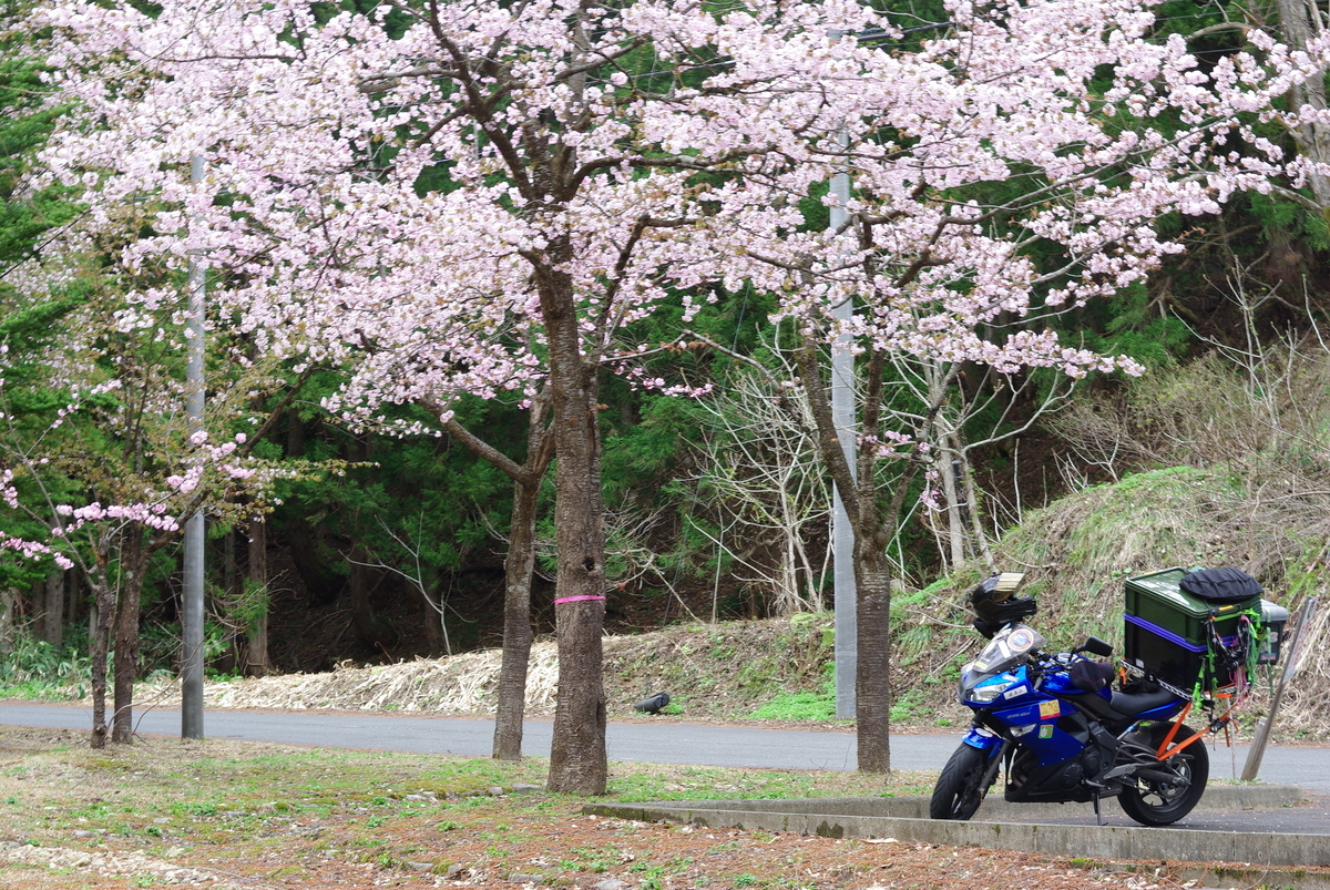 f:id:pepezoo:20190512183143j:plain