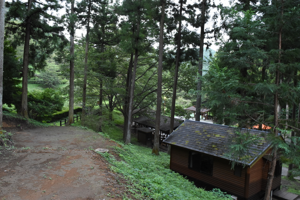 f:id:pepezoo:20190828232640j:plain