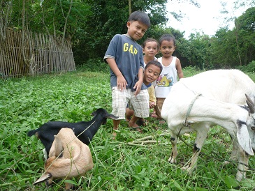 f:id:pepie17:20121215114403j:image