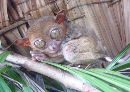 f:id:pepie17:20140306161251j:image