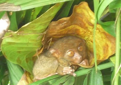 f:id:pepie17:20140329121449j:image