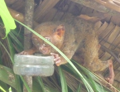 f:id:pepie17:20140329122043j:image