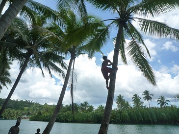 f:id:pepie17:20140329145521j:image