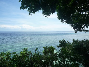 f:id:pepie17:20140329160216j:image