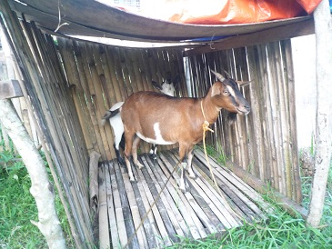 f:id:pepie17:20140423195135j:image