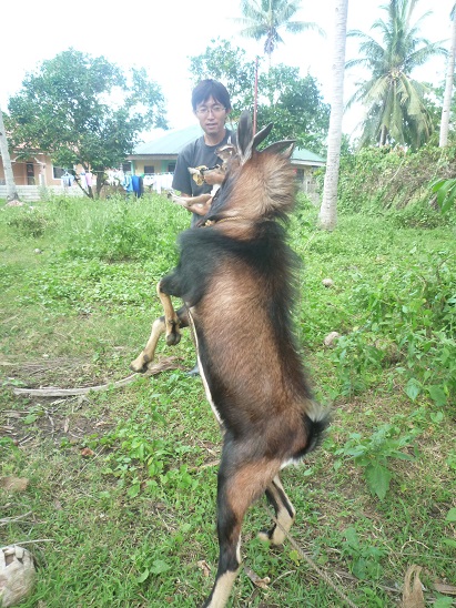 f:id:pepie17:20141119145552j:image