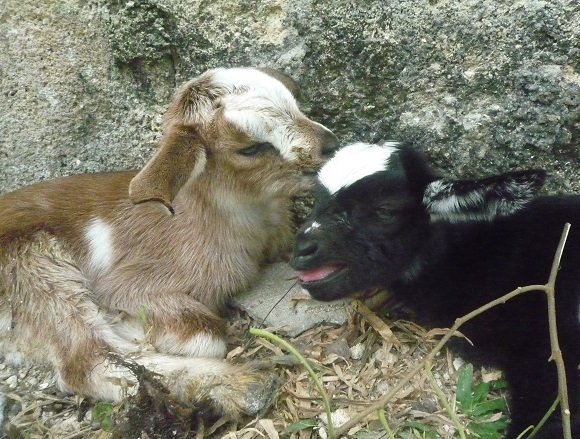 f:id:pepie17:20150418154255j:image